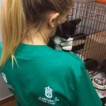 Chica con gato negro en los brazos